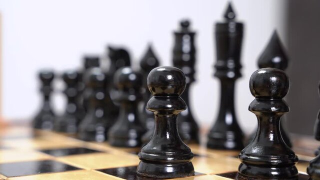 Paw of dog moves black pawn to adjacent square of checkered chessboard while making move during chess game, close up. Intelligent entertainment with pets.