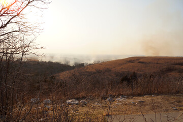Smoke from a wild fire in the distant hills, dry grassy hillside in the foreground