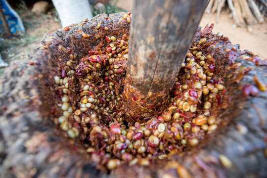 Wet coffee cherry in pulping machine