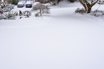 Winter morning, driveway, garden, and street covered in fresh snowfall
