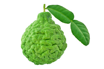 Bergamot fruit and leaves isolated on white background have clipping path