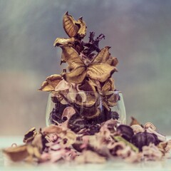 マクロアート写真