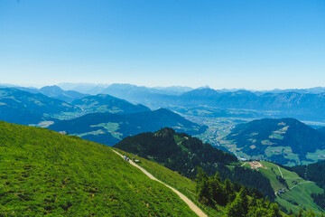 ein Wanderweg in einer Alm mit den Tiroler Alpen im sommerlichen Hintergrund