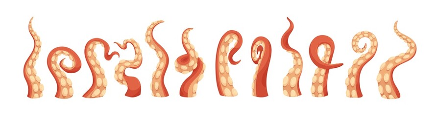 Set of octopus tentacles with suckers. Twisted long limbs of sea or ocean monsters. Arms of aquatic Kraken isolated on white background. Colored flat vector illustration of marine animal © Good Studio