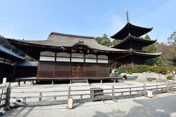 Naklejka premium 秋の三井寺 灌頂堂と三重塔 滋賀県大津市