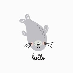 Cute seal vector illustration. Vector print ideal for baby texil and posters.