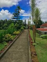 side walk with house, tree, palm and cloudy blue sky