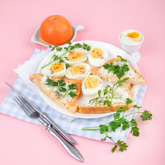 Breakfast with eggs and sandwiches. Ingredients for cooking. Healthy eating concept.