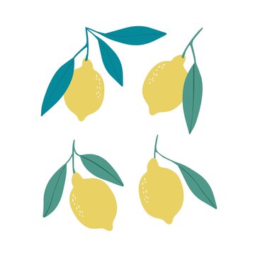Hand drawl summer set with Lemon. Vector Lemon print for fabric or wallpaper.