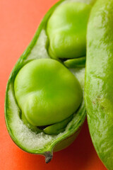 彩り／そらまめ