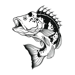 realistic hand drawing of fish