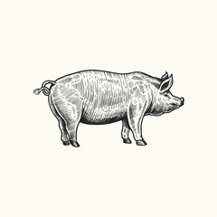 hand drawing of farm animals