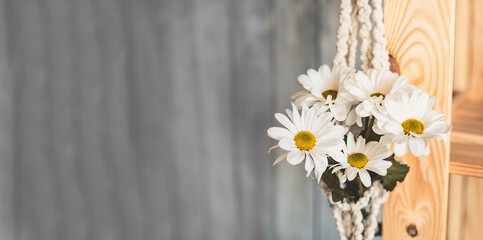long format banner, bouquet of white daisy flowers in white knitted macrame pot. selective focus