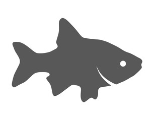 Grey silhouette of fish on white background