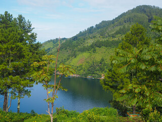 tree against toba lake and blue sky