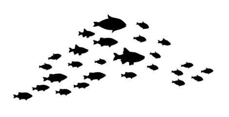 Silhouettes of groups of  fishes on white