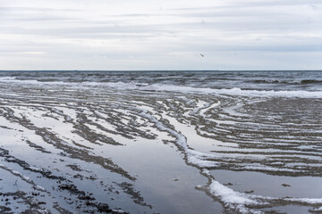 Frozen Baltic Sea Coast in Late Winter on a Cloudy Day