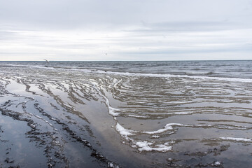 Frozen Baltic Sea Coast in Late Winter on a Cloudy Day