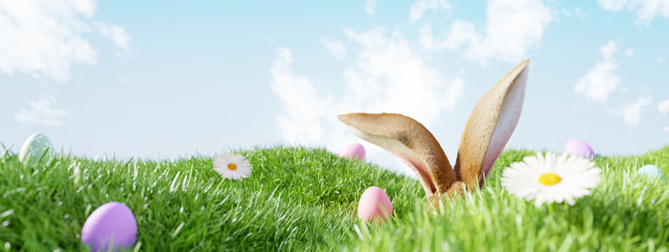 Easter Landscape, Rabbit Ear With Colorful Eggs And Daisy Flower On Meadow Under Beautiful Sky. 3d Rendering