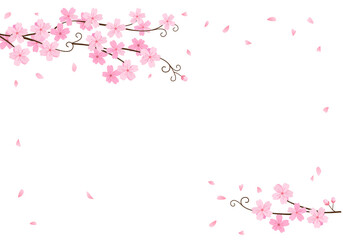 Pink Sakura flowers branch on a white background vector illustration.