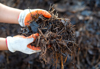 hand holding compost 
