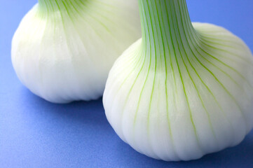 彩り／たまねぎ