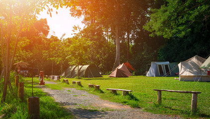 Morning sunlight on surface of various field tents group on green lawn in campsite area at natural parkland