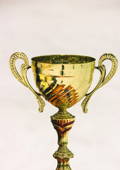 Golden trophy cup
