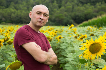 Naklejka na ściany i meble Portrait of middle-aged man posing in sunflowers field at summer day