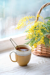 Cup of tea and Mimosa flowers. spring season background. Mothers day, 8 March. romantic breakfast