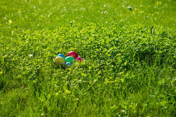 Easter colorful eggs in grass on sunny spring day. Meadow with dyed multi-colored eggs. Happy Easter concept.