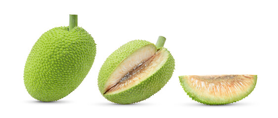 breadfruit on white background