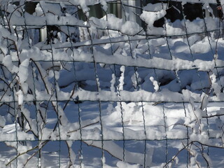 Snow and ice on wire fence