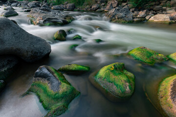 The dry river has many boulders and green moss grows on the rocks in summer.