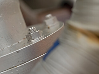 Screw nut in the detailed view