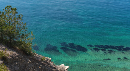 Beautiful landscape sea view. Pine tree on a rock on the Black Sea coast