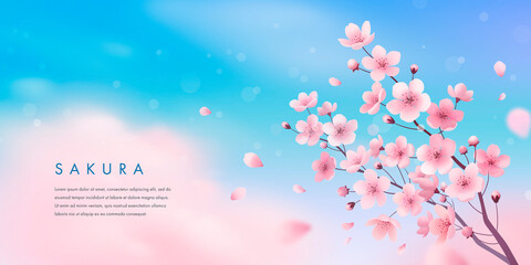 Spring cherry blossom horizontal banner. Vector illustration of realistic blossoming sakura flowers on blue sky background © AM_art