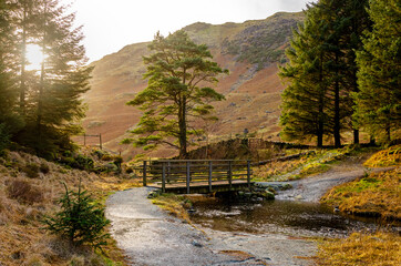 Beautiful wood trail with a bridge over a river in Lake District, Cumbria, England, United Kingdom, Europe