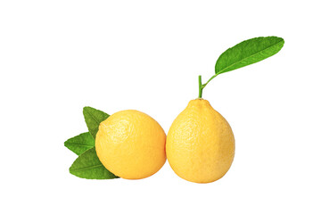 yellow Lemon with green leaves isolated on white background