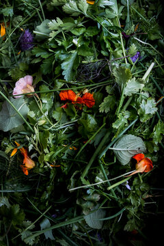High angle close up of bunch of fresh herbs and edible flowers.