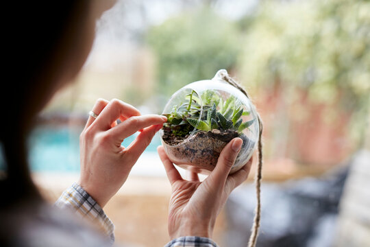 Close up of woman's hands caring for plants within glass terrarium