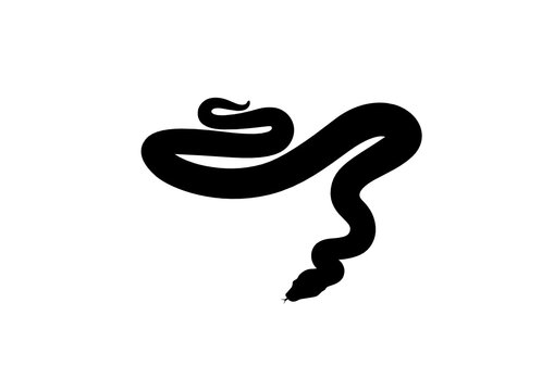 Silhouette Boa - Pitone