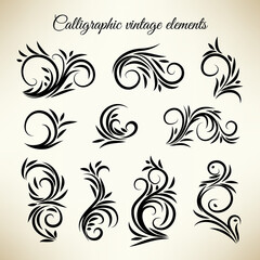 Vintage calligraphic swirl ornaments set