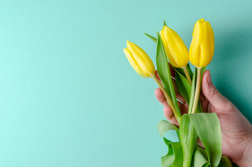 Background with yellow tulips on turquoise background. Place for text