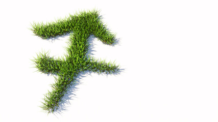 Concept conceptual green summer lawn grass symbol shape isolated white background, sign of sagittarius zodiac sign. 3d illustration symbol for  esoteric, the mystic, the power of prediction 