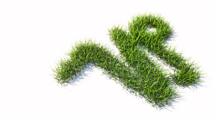 Concept conceptual green summer lawn grass symbol shape isolated white background, sign of capricorn zodiac sign. 3d illustration symbol for  esoteric, the mystic, the power of prediction of astrology