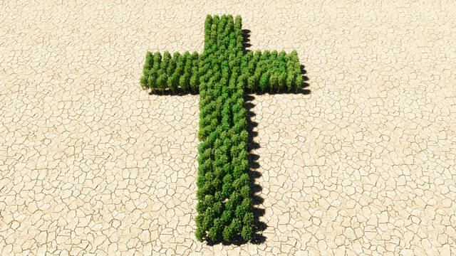 Concept or conceptual group of green forest tree on dry ground background as sign of religious christian cross. A 3d illustration metaphor for God, Christ, religion, spirituality, prayer, Jesus belief