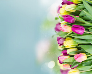 bouquet of yellow and purple tulip flowers