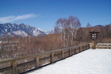 Fototapeta na wymiar 広大な湿地面積を誇る雪景色の戦場ヶ原