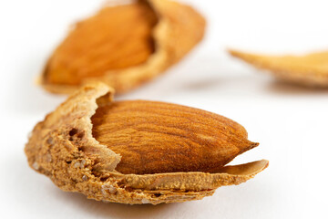 roasted, shelled and salted almonds